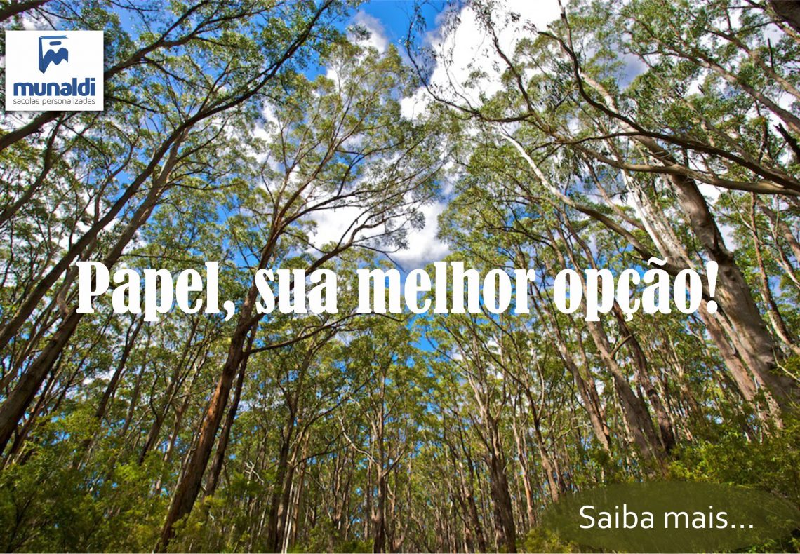 Sacolas de papel sustentável