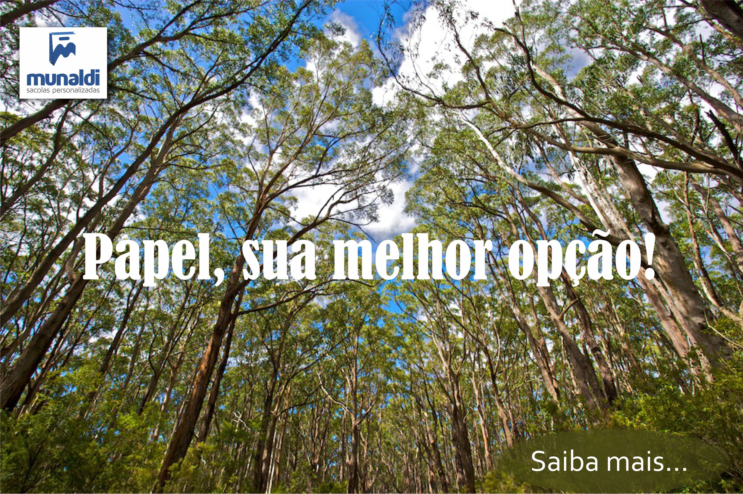 Sacolas de papel sustentável